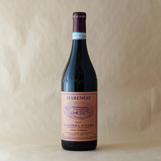 MARENGO BARBERA