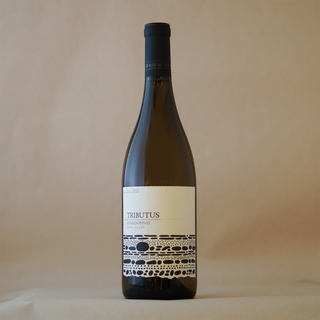 TRIBUTUS NAPA CHARDONNAY