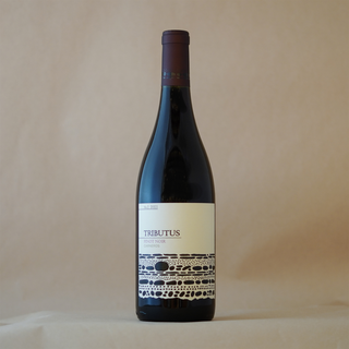 TRIBUTUS CARNEROS PINOT NOIR