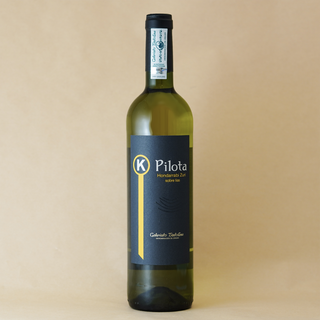 BODEGAS K5 PILOTA