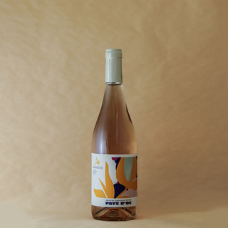 CH LA NEGLY AMBRINE ROSE