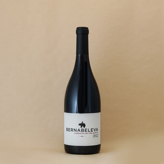 BERNABELEVA VINA BONITA