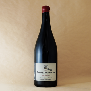 MAGNIEN 4 CARAC TERRES MAGNUM '24